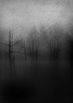 Dark Fount's cover